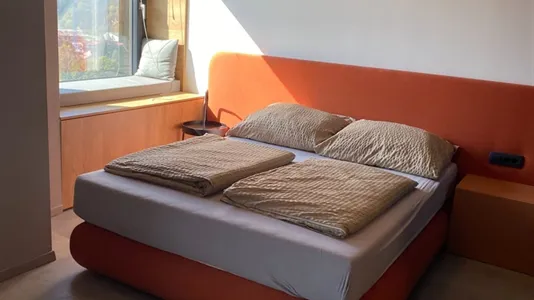 Apartments in Besnica - photo 4