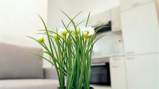 Apartments in Vienna Alsergrund - photo 7