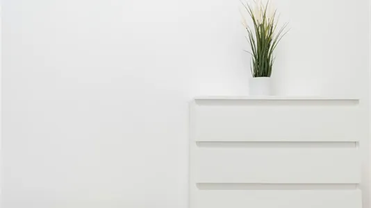 Rooms in Turin - photo 4