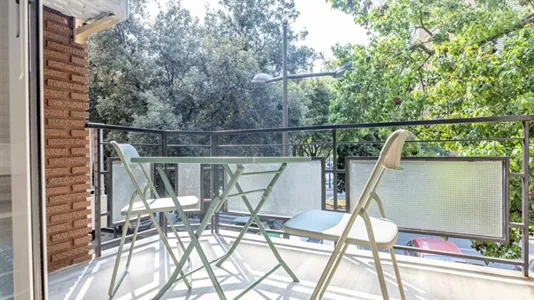 Rooms in la Punta - photo 5