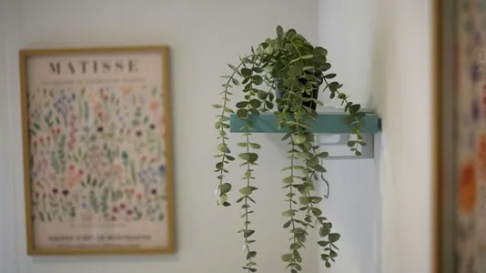 Rooms in Bilbao - photo 4