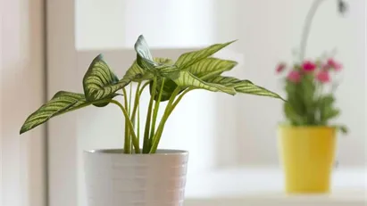 Room for rent in Milano Zona 6 - Barona, Lorenteggio, Milan