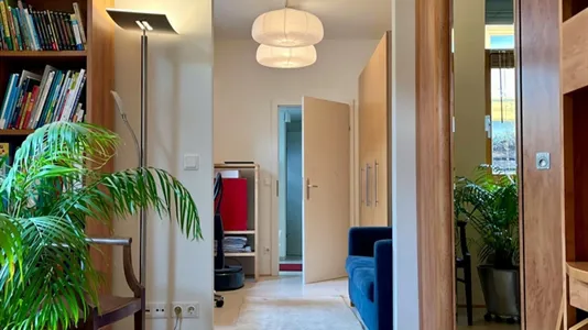 Rooms in Maria Enzersdorf - photo 10