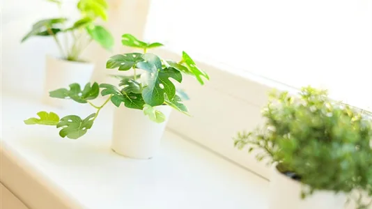 Apartments in Wien Meidling - photo 8