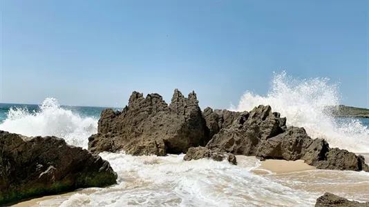 Houses in Odemira - photo 5