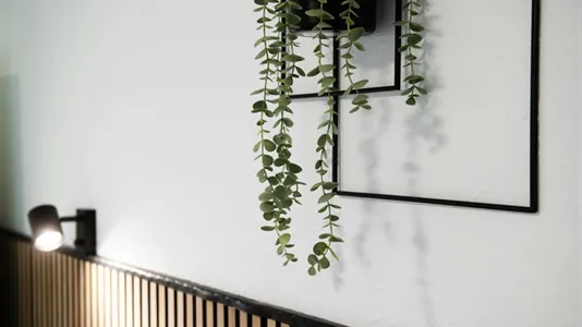 Apartments in Bonn - photo 8