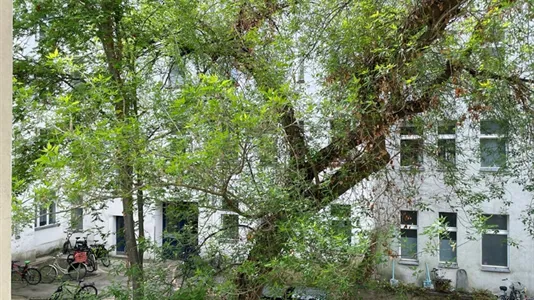Rooms in Berlin Pankow - photo 6