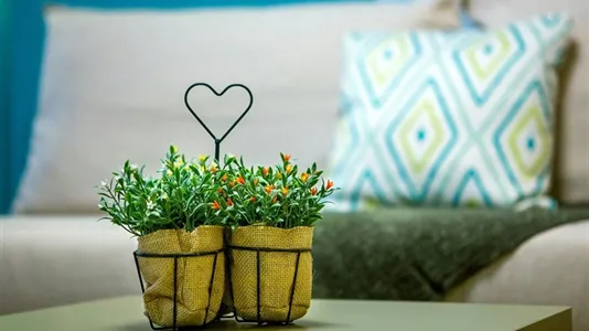 Apartments in Athens Omonia - photo 10