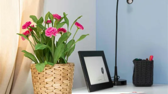 Rooms in Milano Zona 1 - Centro storico - photo 5