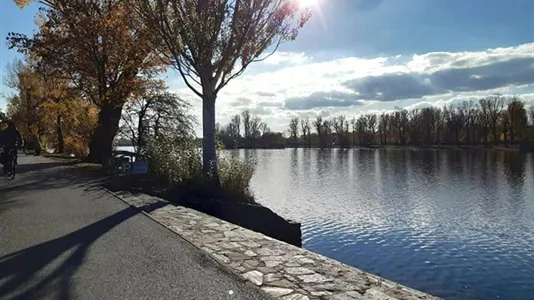 Houses in Vienna Donaustadt - photo 4