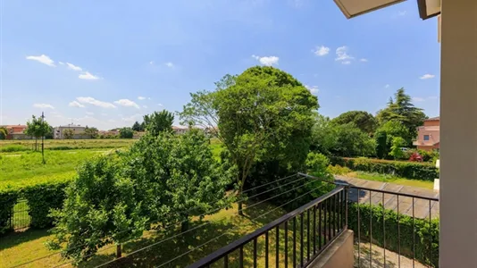 Rooms in Padua - photo 8