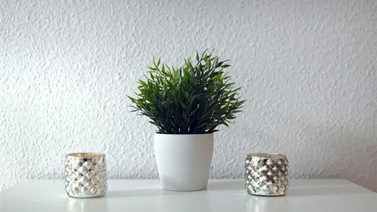 Apartments in Berlin Mitte - photo 8