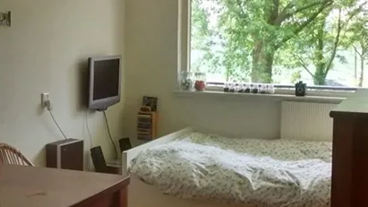 Room for rent in Wageningen, Gelderland