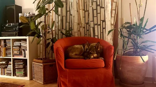 Rooms in Florence - photo 9