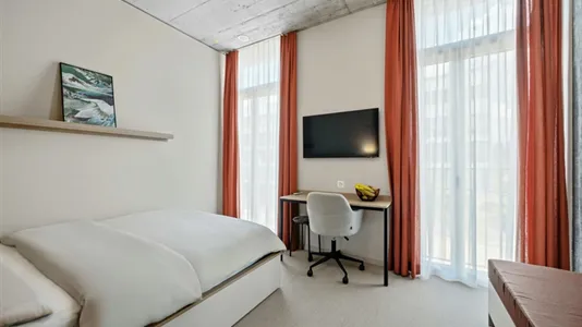 Apartments in Zug - photo 8