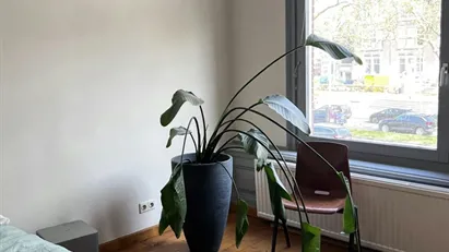 Room for rent in Rotterdam