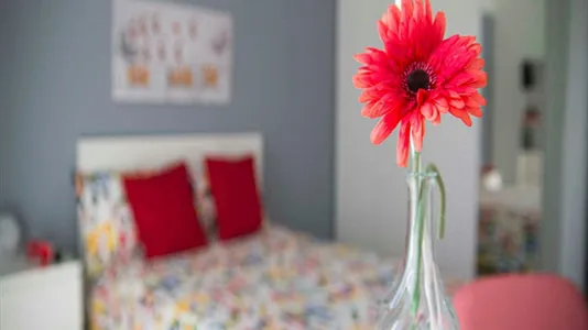 Rooms in Sesto San Giovanni - photo 3