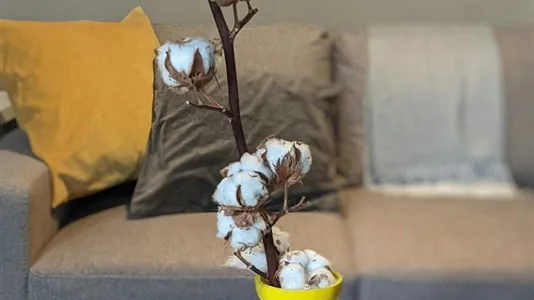 Apartments in Berlin Mitte - photo 8