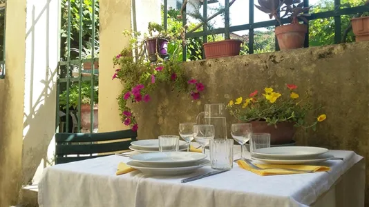 Apartments in Pisa - photo 3