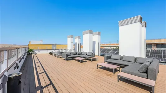 Apartments in Salamanca - photo 7