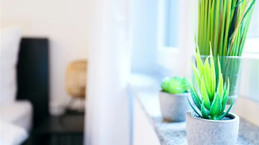 Apartments in Mannheim - photo 9