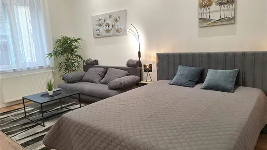 Apartments in Budapest Erzsébetváros - photo 5