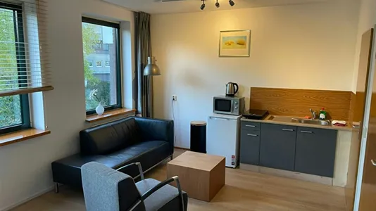 Apartments in Gouda - photo 7