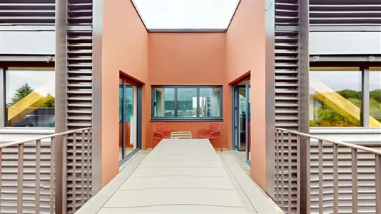 Houses in Palaiseau - photo 10