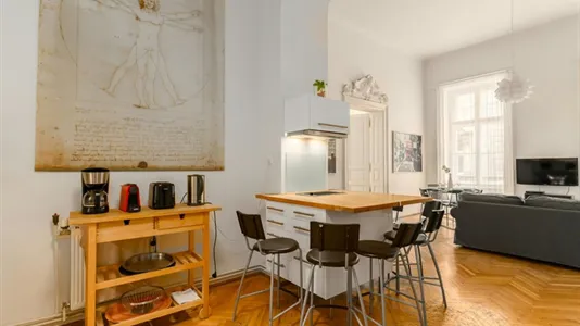 Apartments in Budapest Terézváros - photo 7