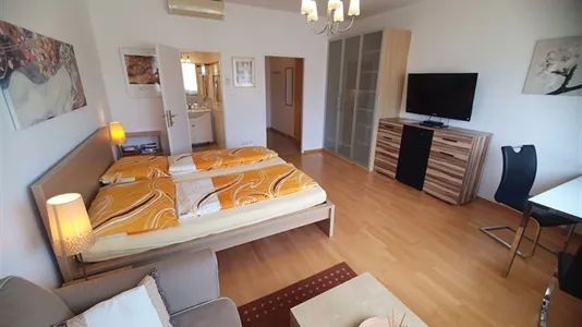 Apartments in Wien Wieden - photo 4