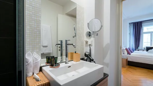 Apartments in Vienna Josefstadt - photo 8