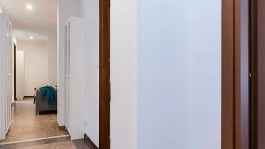 Rooms in Bologna - photo 8
