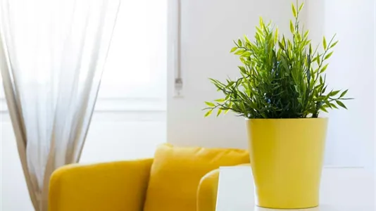 Rooms in Milano Zona 2 - Stazione Centrale, Gorla, Turro, Greco, Crescenzago - photo 9