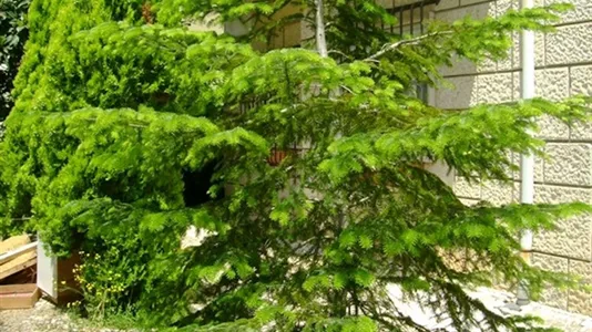 Apartments in Coimbra - photo 5