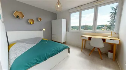 Room for rent in Lyon, Auvergne-Rhône-Alpes