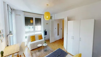Room for rent in Lyon, Auvergne-Rhône-Alpes