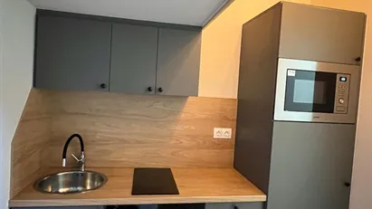 Apartment for rent in Budapest Erzsébetváros, Budapest