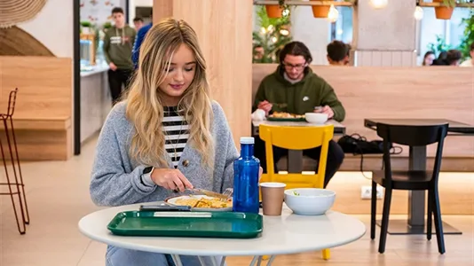 Rooms in Granada - photo 6