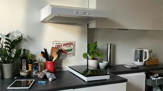 Rooms in Maastricht - photo 9