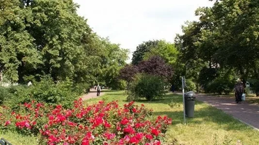 Rooms in Location is not specified - photo 5