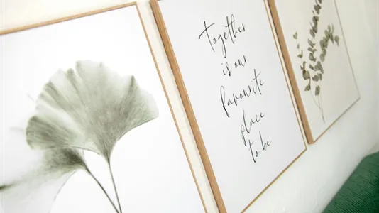 Apartments in Bonn - photo 8