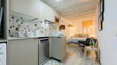 Apartment for rent in Barcelona Ciutat Vella, Barcelona