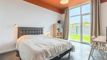 Room for rent in Lille, Hauts-de-France