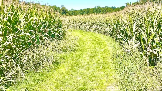 Apartments in Ebersberg - photo 6