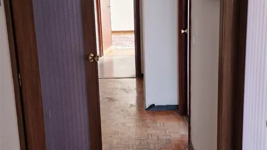 Rooms in Padua - photo 4