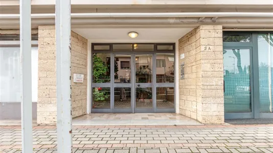 Rooms in Pisa - photo 10