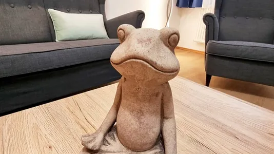 Apartments in Vienna Leopoldstadt - photo 7