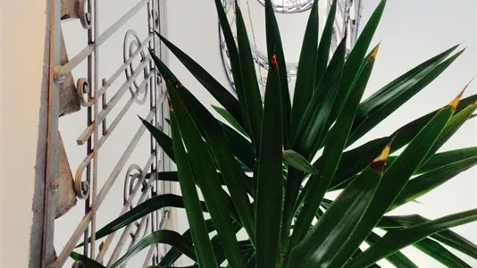 Apartments in Vienna Floridsdorf - photo 10