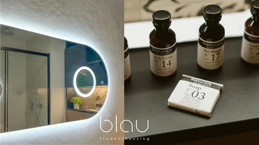 Apartments in Barcelona Sant Martí - photo 5