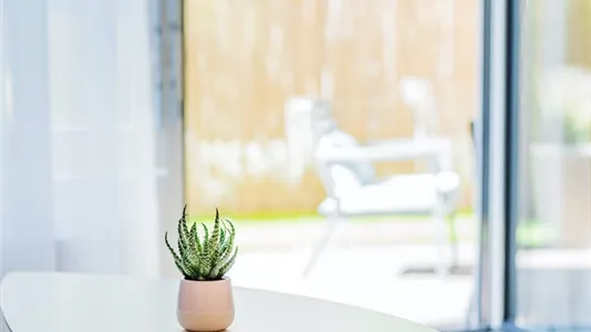 Apartments in Vienna Leopoldstadt - photo 5